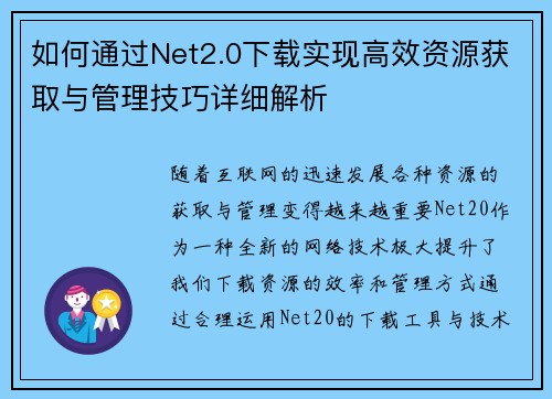 如何通过Net2.0下载实现高效资源获取与管理技巧详细解析